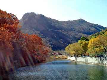 新澳天天开奖资料大全旅游团，seo问答交流